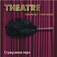 ToyFa Theatre Страусиное перо, черное
С рукояткой