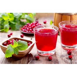Клюквенный морс 0,5