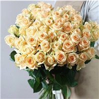 Букет из 51 кремовой роз (70 см )