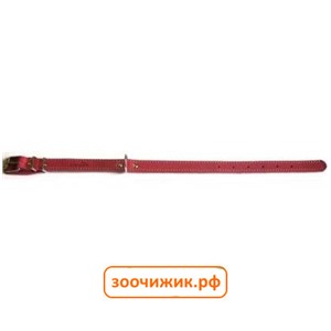 Ошейник Аркон красный 20мм однослойный (32-44см)