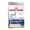 Сухой корм Royal Canin Maxi dermacomfort для собак (для крупных пород с 2 лет, для здоровой кожи и шерсти) (14 кг)