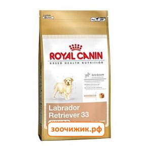 Сухой корм Royal Canin Labrador retriever junior для щенков (для лабрадоров с 2 до 15 месяцев) (3 кг)