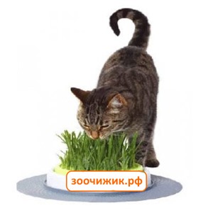Лакомство Hagen Catit Design Senses набор для выращивания садовой травы с травой для кошек
