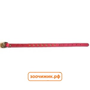 Ошейник Аркон красный (14мм, 22-29см)