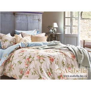Комплект постельного белья Asabella 843 (размер евро)