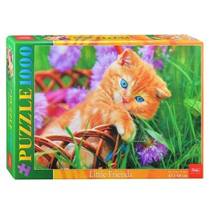 Пазлы Котенок в корзинке (1000)