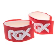  RGX 