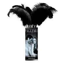 Кисти FF LIMITED EDITION LOVE PLUMES 12 шт 441023PD