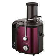 Соковыжималка SCARLETT SC-JE50S30 1000 Вт, загрузка целых плодов