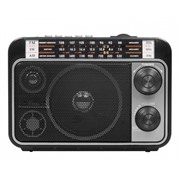 Радиоприемник Ritmix RPR-171