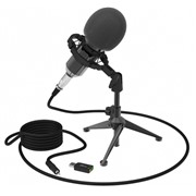 Микрофон Ritmix rdm-160 Black, настольный