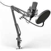 Микрофон Ritmix rdm-169 Black, настольный