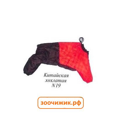 Интернет Магазины Одежды Для Китайской Хохлатой