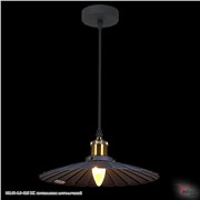  Reluce 08160-0.9-01S BK светильник потолочный