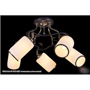  Reluce 07316-5.3-05 FGD-SRD светильник потолочный