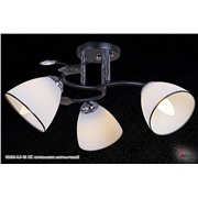  Reluce 02682-0.3-03 BK светильник потолочный