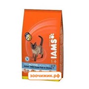 Сухой корм Iams океаническая рыба для кошек 1,5кг.