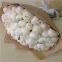 Букет из 35 пионов