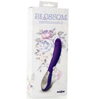 Dream Toys Blossom, фиолетовый
Классический перезаряжаемый вибратор
