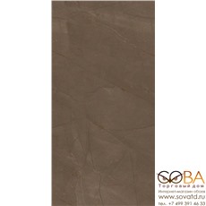 Плитка Creto  Pulpis Brown W M 31x61 NR Glossy 1 купить по лучшей цене в интернет магазине стильных обоев Сова ТД. Доставка по Москве, МО и всей России
