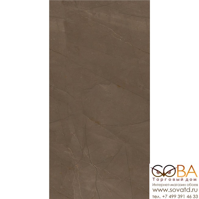 Плитка Creto  Pulpis Brown W M 31x61 NR Glossy 1 купить по лучшей цене в интернет магазине стильных обоев Сова ТД. Доставка по Москве, МО и всей России