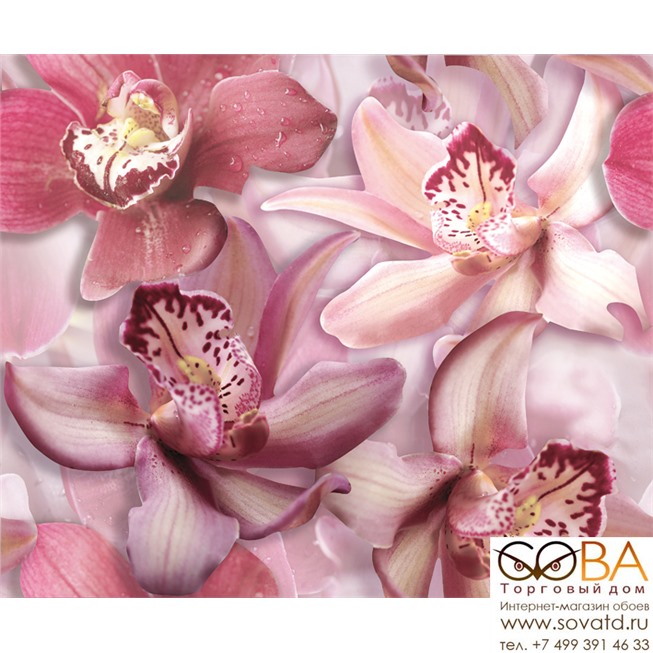 Панно Porto Flowers "Orchid lila"  50x60 (2пл) купить по лучшей цене в интернет магазине стильных обоев Сова ТД. Доставка по Москве, МО и всей России