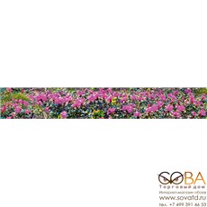 Бордюр Alps B300D246  30х4,5 купить по лучшей цене в интернет магазине стильных обоев Сова ТД. Доставка по Москве, МО и всей России