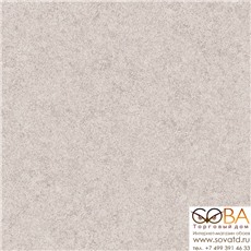 Обои Rasch Pleyada 650679 купить по лучшей цене в интернет магазине стильных обоев Сова ТД. Доставка по Москве, МО и всей России