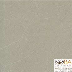 Обои Andrea Rossi Spectrum Plus 54351-13 купить по лучшей цене в интернет магазине стильных обоев Сова ТД. Доставка по Москве, МО и всей России