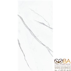 Керамогранит Villeroy&Boch  Nocturne White Gold FLPR 60х120 купить по лучшей цене в интернет магазине стильных обоев Сова ТД. Доставка по Москве, МО и всей России