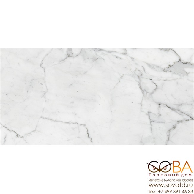 Керамогранит Marble Trend  K-1000/LR/30x60 Carrara купить по лучшей цене в интернет магазине стильных обоев Сова ТД. Доставка по Москве, МО и всей России