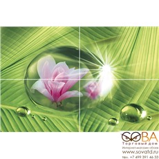 Панно Pink drop P4D263  из 4-х плиток 60х40 купить по лучшей цене в интернет магазине стильных обоев Сова ТД. Доставка по Москве, МО и всей России