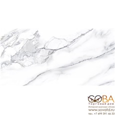 Плитка Neodom Splendida Calacatta Classico Polished (60x120)см N20326 (Индия) купить по лучшей цене в интернет магазине стильных обоев Сова ТД. Доставка по Москве, МО и всей России