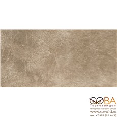 Керамогранит STN Ceramica Monolith Noce Matt Rect. (59.5x120)см CAN5MONLEDAA (Испания) купить по лучшей цене в интернет магазине стильных обоев Сова ТД. Доставка по Москве, МО и всей России
