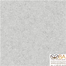 Обои Rasch Pleyada 650686 купить по лучшей цене в интернет магазине стильных обоев Сова ТД. Доставка по Москве, МО и всей России