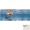 Декор Ocean Turtle  20x50, интернет-магазин Sportcoast.ru