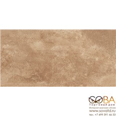 Керамогранит Berkana глаз.  коричневый (C-BK4L112D)  29,7x59,8 купить по лучшей цене в интернет магазине стильных обоев Сова ТД. Доставка по Москве, МО и всей России