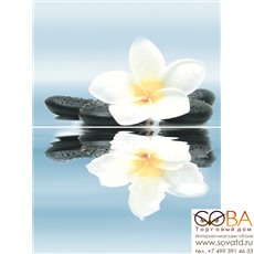 Панно Dream  P2-2D185 30х40 (из 2-х пл.) купить по лучшей цене в интернет магазине стильных обоев Сова ТД. Доставка по Москве, МО и всей России