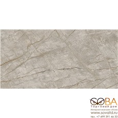 Керамогранит Atlas Concorde Russia Empire Silver Root Ret (80x160)см 610010002173 (Россия) купить по лучшей цене в интернет магазине стильных обоев Сова ТД. Доставка по Москве, МО и всей России