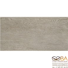 Керамогранит Alania grey  01 20х40 купить по лучшей цене в интернет магазине стильных обоев Сова ТД. Доставка по Москве, МО и всей России