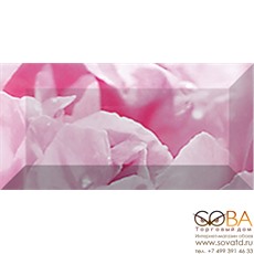 Бордюр Peony  рельефный br1020D281-2 20х10 купить по лучшей цене в интернет магазине стильных обоев Сова ТД. Доставка по Москве, МО и всей России
