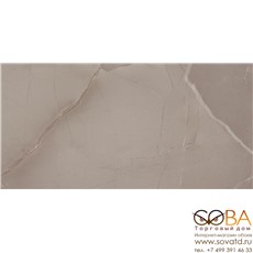 Керамическая плитка Azteca Passion Lux 90 Taupe Lapatto (45x90)см 11-015-4 (Испания) купить по лучшей цене в интернет магазине стильных обоев Сова ТД. Доставка по Москве, МО и всей России